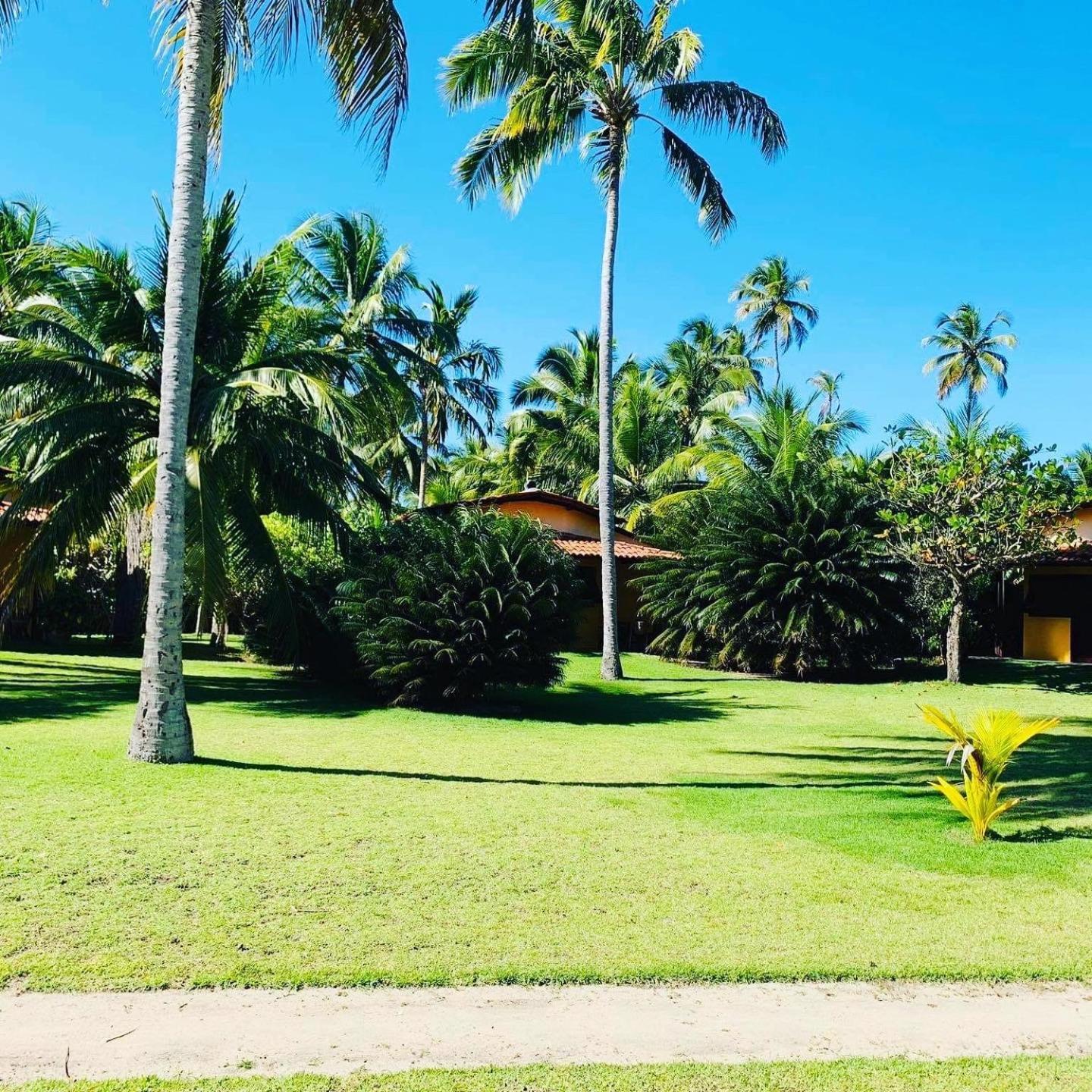 Hotel Pousada Cote Sud São Miguel dos Milagres Zewnętrze zdjęcie